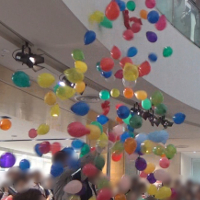 神奈川県横浜市・港南台バーズのGWイベント　〜 イベント出演報告 〜