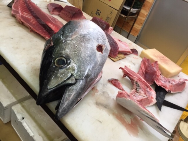 ひびのコイまつり3