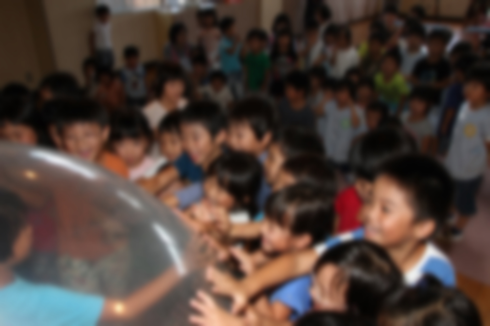 アルバフォト004